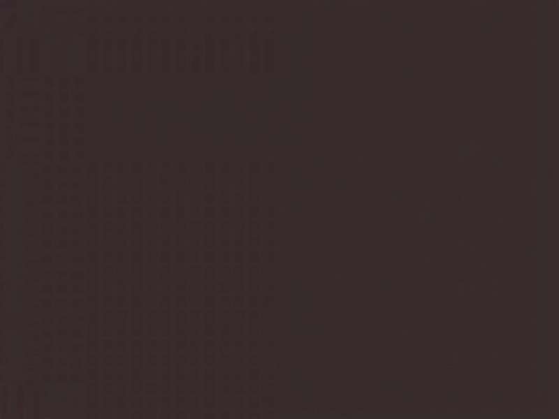 Person reading a financial report